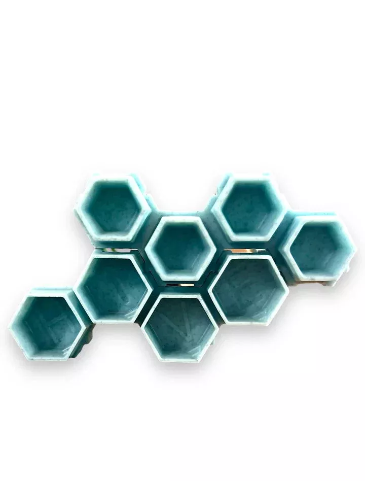 Eco Hive Capspack