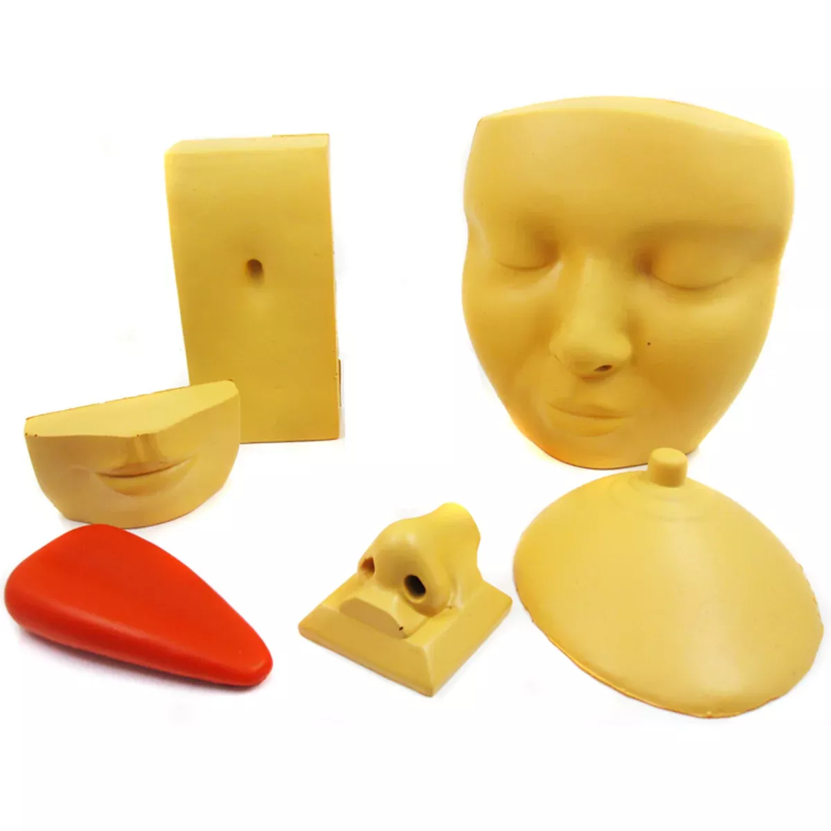 Foam Piercing Models | Piercing Practice Tools