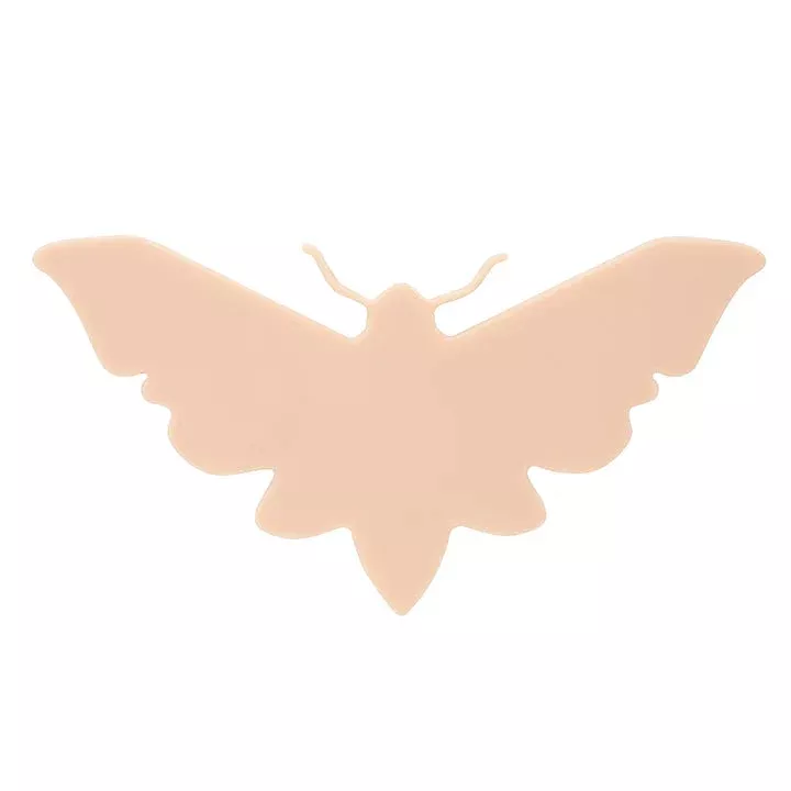 A Pound ofFlesh Micro Moth