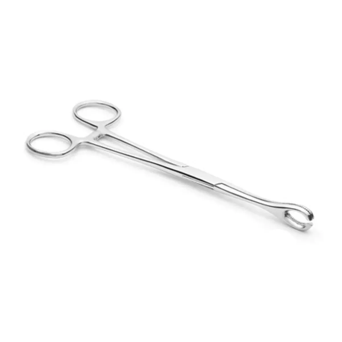 Slotted Forester Forceps | Stainless Steel Piercing Tool
