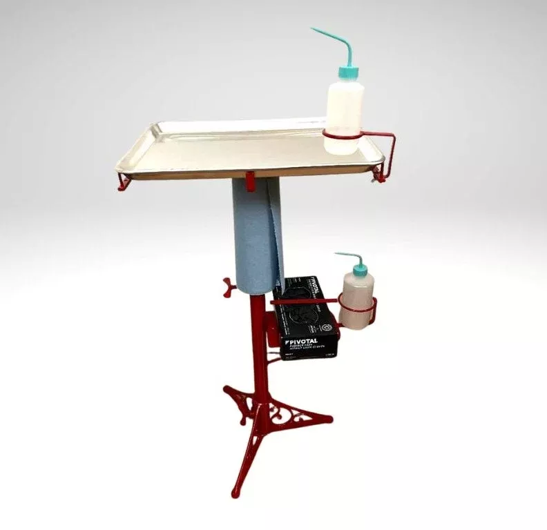 Tattoo Workstations